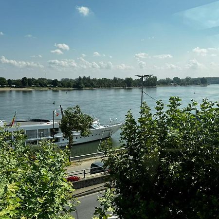 Rhein-Hotel Нирштайн Экстерьер фото