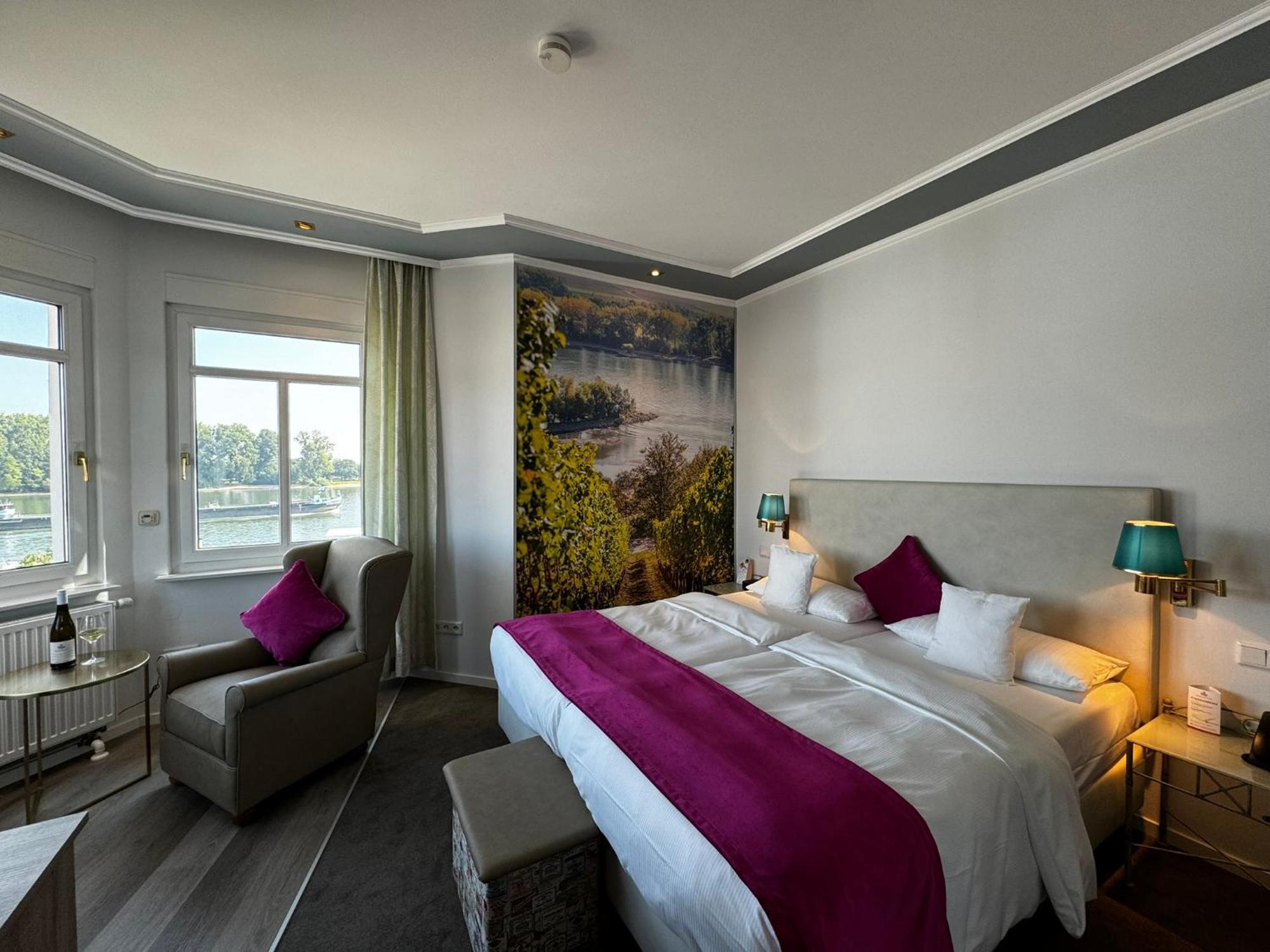 Rhein-Hotel Нирштайн Экстерьер фото